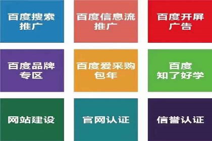 顶级SEM运营公司案例分析